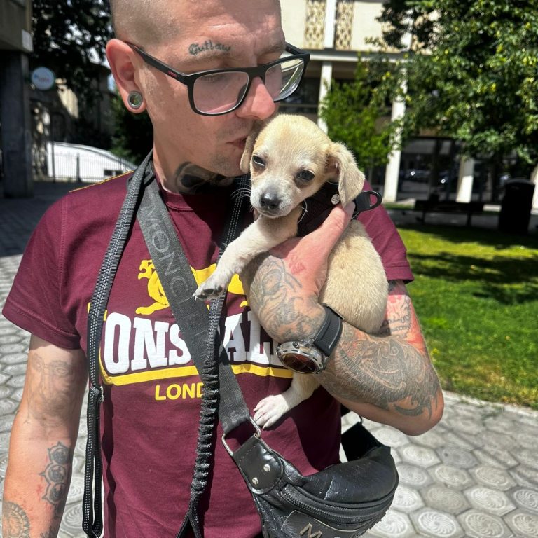 Alex Löwenherz Rettet Welpe in Rumänien aus einer Weggeworfenen Tüte