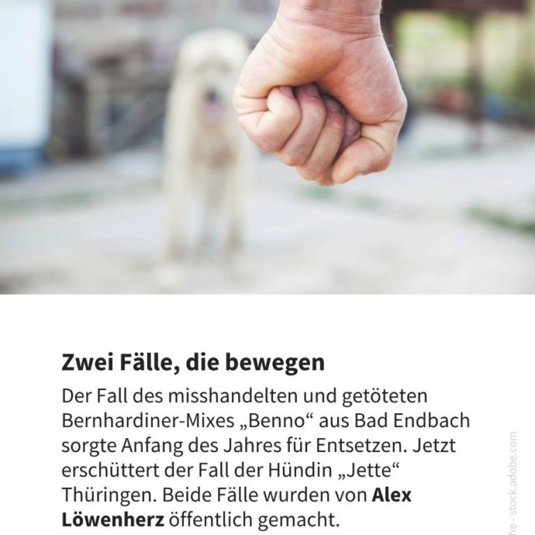 Alex Löwenherz deckt wieder Fall auf, erst Benno und nun Jette